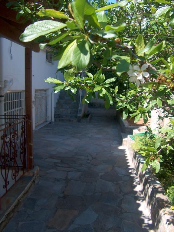Athenian Spiti Villa Artemida  Habitación foto